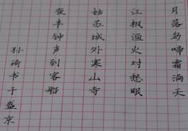 照片 496